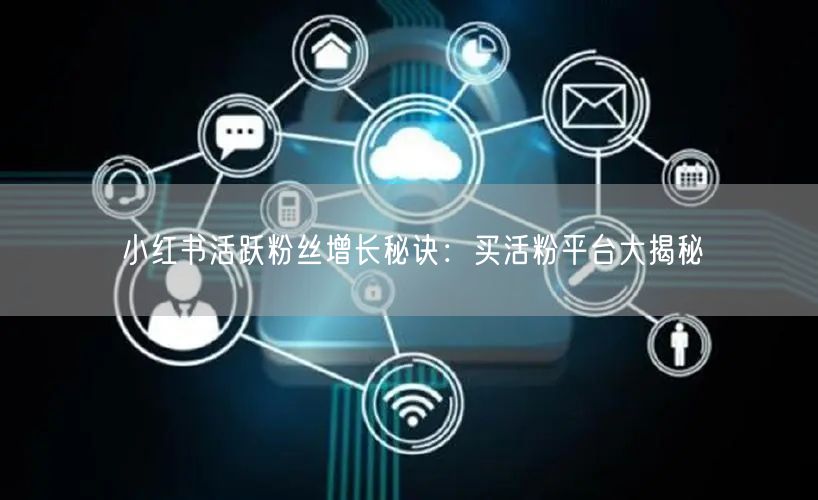 小红书活跃粉丝增长秘诀：买活粉平台大揭秘