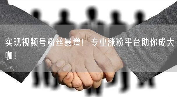 实现视频号粉丝暴增！专业涨粉平台助你成大咖！