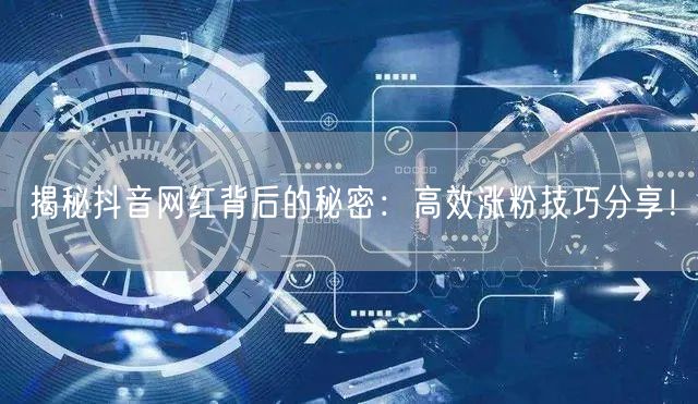 揭秘抖音网红背后的秘密：高效涨粉技巧分享！