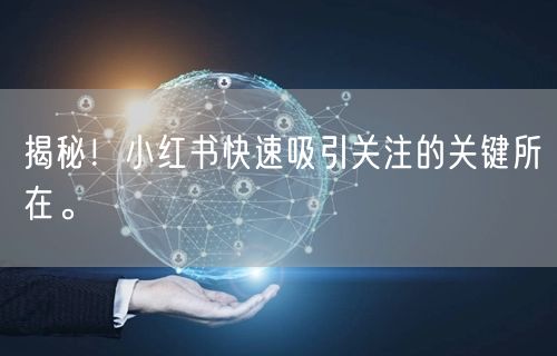 揭秘！小红书快速吸引关注的关键所在。