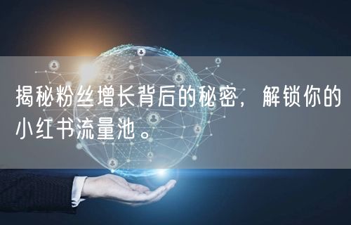 揭秘粉丝增长背后的秘密，解锁你的小红书流量池。