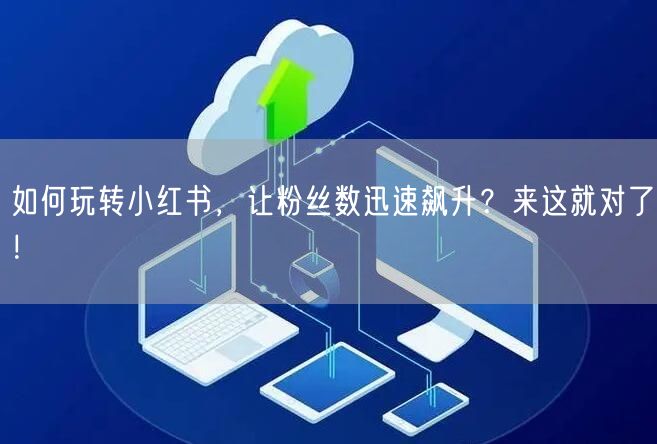 如何玩转小红书，让粉丝数迅速飙升？来这就对了！