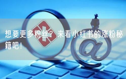 想要更多粉丝？来看小红书的涨粉秘籍吧！