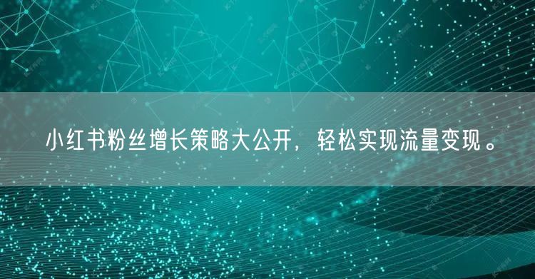 小红书粉丝增长策略大公开，轻松实现流量变现。
